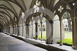 Cloister Salisbury Cathedral