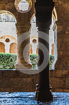 Cloister of the Thonoret abbey in the Var in France