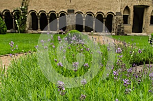 Cloistered courtyard