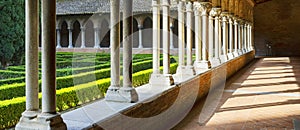 Cloisters and Courtyard Garden of Dominican monastery Couvent des Jacobins in Toulouse photo