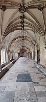 Cloisters, Norwich Cathedral, Norfolk, England, UK