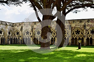 Cloisters, Salisbury Cathedral, Salisbury, Wiltshire, England
