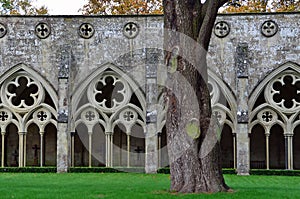 Cloisters, Salisbury Cathedral, Salisbury, Wiltshire, England