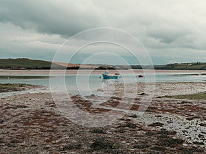 Clonakilty Bay at low tide on a day. A small blue fishing boat is anchored. Open seabed, silt and algae. Picturesque seaside