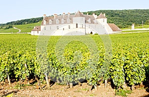 Clos Blanc De Vougeot Castle