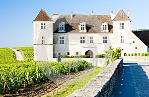 Clos Blanc De Vougeot Castle