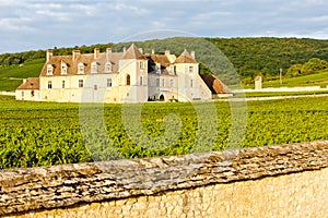 Clos Blanc De Vougeot Castle