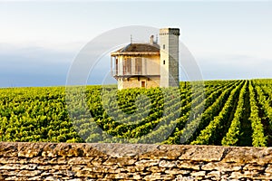 Clos Blanc De Vougeot Castle