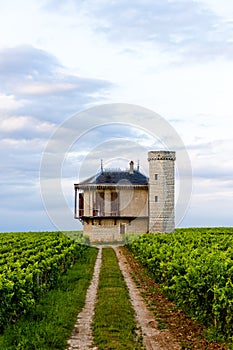 Clos Blanc De Vougeot Castle