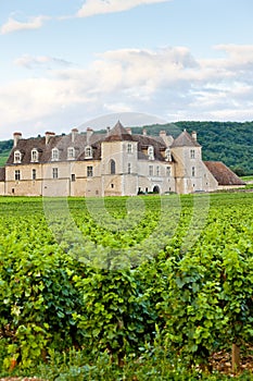 Clos Blanc De Vougeot Castle