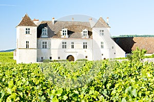 Clos Blanc De Vougeot Castle, Burgundy, France