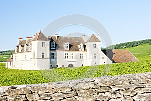 Clos Blanc De Vougeot Castle, Burgundy, France