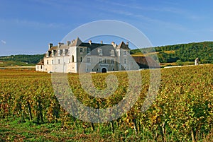 Clos de Vougeot,Burgundy