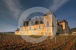 Clos de Vougeot, Burgundy, France