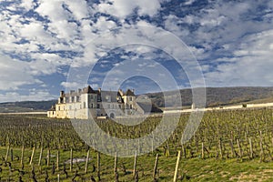 Clos de Vougeot castle, Cote de Nuits, Burgundy, France