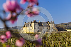 Clos de Vougeot castle, Cote de Nuits, Burgundy, France