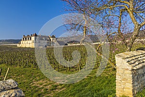 Clos de Vougeot castle, Cote de Nuits, Burgundy, France