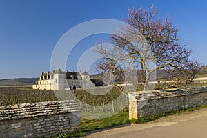 Clos de Vougeot castle, Cote de Nuits, Burgundy, France