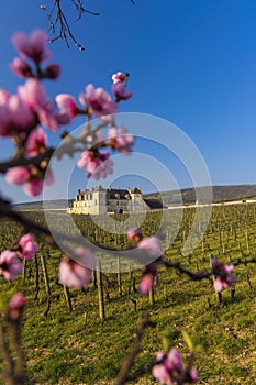 Clos de Vougeot castle, Cote de Nuits, Burgundy, France