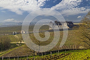 Clos de Vougeot castle, Cote de Nuits, Burgundy, France