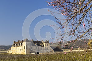 Clos de Vougeot castle, Cote de Nuits, Burgundy, France