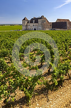 Clos de Vougeot castle, Cote de Nuits, Burgundy, France