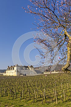 Clos de Vougeot castle, Cote de Nuits, Burgundy, France