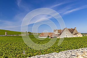 Clos de Vougeot castle, Cote de Nuits, Burgundy, France