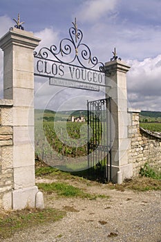 The Clos Vougeot