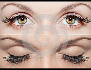 EYE AND FALSE EYELASHES photo