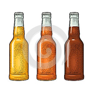 Close bottle with three types beer. Vintage color vector engraving illustration.