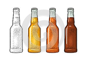 Close bottle with three types beer. Vintage color vector engraving illustration.