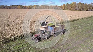 Close combine loads tractor empty trailer with corn foliage