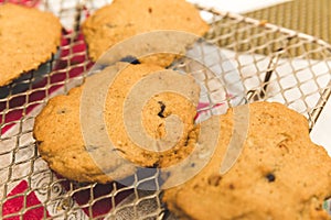 Close Details of Home Made Chocolate Chip Cookies on Rack