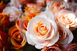 Close focus on artificial pastel orange roses with bright sunlight in dark area