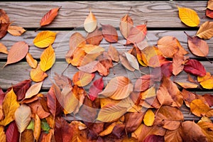 close-focus on autumn leaves on a wooden deck