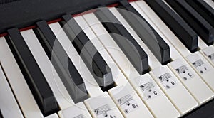 Close piano keys with note signs. Musical education. Learning of to play piano.