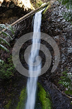 Close portrait shot of Marymere Falls, Olympic Peninsula, USA