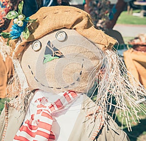 Close portrait view of happy scarecrow doll