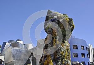 Puppy Floral Sculpture details front of Guggenheim Museum building from Bilbao city in Basque Country of Spain