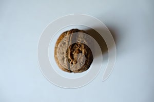 Close shot of brown rounded wrinkly fruit of Persian walnut