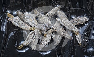 close shot of the bundle of plaster bagworm nestle. photo