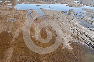 A close shot of mud at Nisqually river estuary in the Billy Frank Jr. Nisqually National Wildlife Refuge, WA, USA