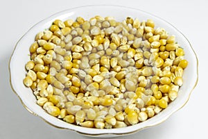 Close shot of multiple corn seeds in the white cup