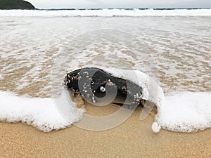 Close shot of old black men`s shoe on a beach covered with shells hit by wave