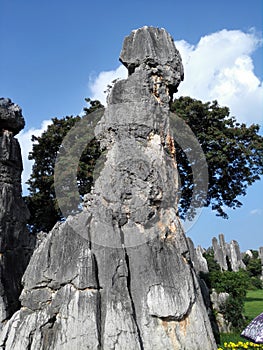 close shot of stone forest in china