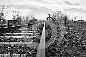 Close shot of train tracks in rocks near leafless trees under a cloudy sky in black and white