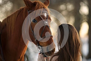 Close side portrait of young woman and brown horse. Woman with long hear looking close at horse eyes