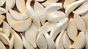 close slice garlic fresh