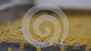 Close static view of conveyor belt shaking moves that motion manufactured pasta